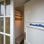 Meeresliebling, Fusslaeufig Zum